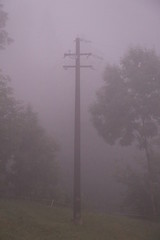 Fototapeta na wymiar pole in the fog