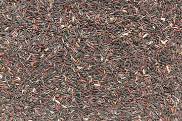 Top view of black rice