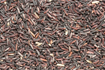 Close up of black rice, Top view