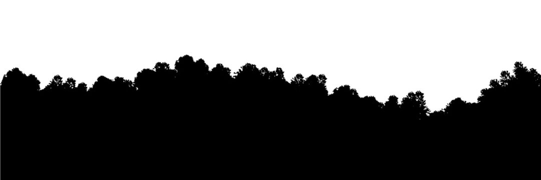 Vector illustration of forest seamless panorama. Hilly forest outdoor render