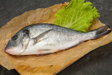 Raw Dorada fish  for cooking