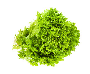Fototapeta premium fresh green foliage of Ice leaf lettuce isolated