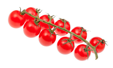 cluster of ripe red Cherry tomatoes isolated
