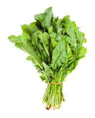 bunch of fresh caucasian garden cress (tsitsmati)