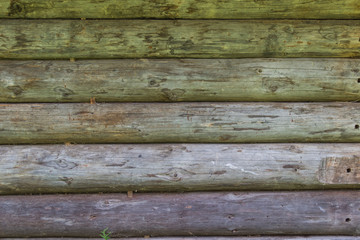 Obraz premium Log wall, natural background, close-up
