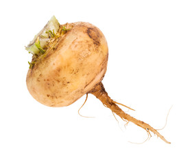 single fresh organic yellow turnip isolated