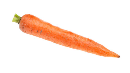 single fresh organic garden carrot isolated