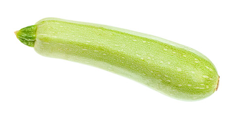 ripe fresh vegetable marrow squash isolated