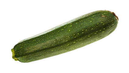 ripe green zucchini vegetable isolated on white