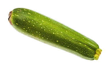 single green zucchini vegetable isolated