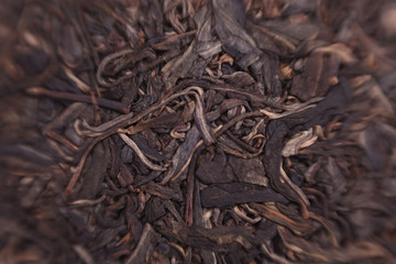 Цзин Май Шань Шен 2010 чай пуэр puer tea