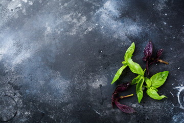Branches of fresh green basil on a dark old table background. Flat lay.