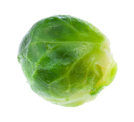 wet green ripe brussels sprout isolated on white