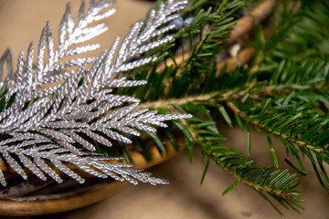 Christmas tree. Thuja branch painted in metallic silver color on background of fresh green conifer tree twigs atop brown surface. Winter holiday backdrop. Christmas tree decorations. New Year theme