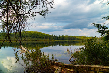 Mizzy Lake Trail lake and forest landscape
