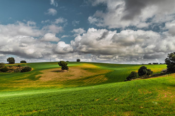 Naklejka premium Clouds in green spring landscape