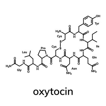 Oxytocine chemical formula, hormone of love and closeness