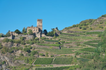 Fototapeta na wymiar Burg Gutenfels am Rhein