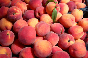 fresh peaches at the market