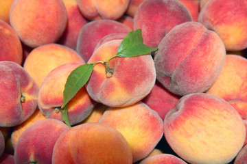 ripe peaches on the market