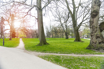 Big trees and verdant green lawns in the park.