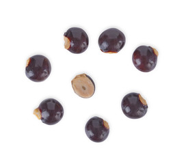 Dimocarpus longanlongan on white background