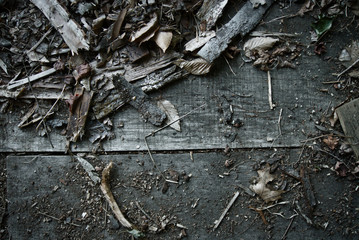 Overhead photo of wood pieces on old flooring Great for production
