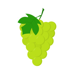 Grape flat icon, logo isolated on white background