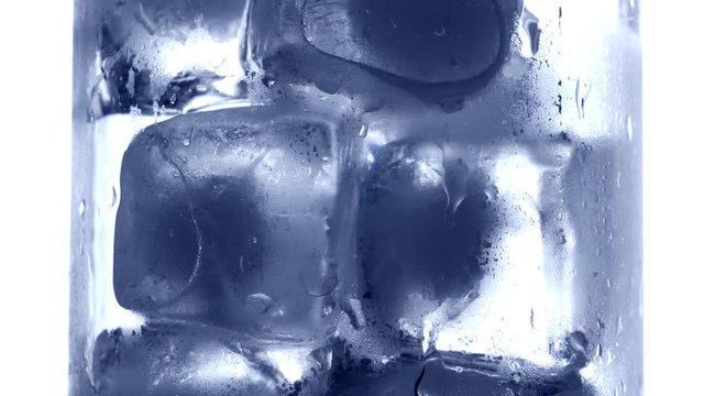 Ice cubes melting in drinking glass. Nobody. Blue tone
