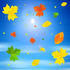 autumn leaves against the blue sky art vector