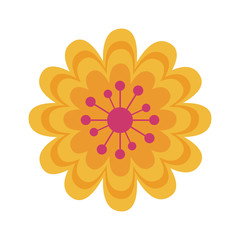 Isolated flower ornament design