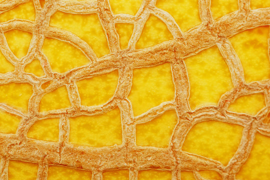 The peel of a ripe yellow melon with texture tracks, full screen. Melon variety torpedo
