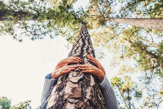 People protecting trees from deforestation concept with couple of senior caucasian hands hugging with love a pine in the wood - earth's day and save the planet positive message - Powered by Adobe