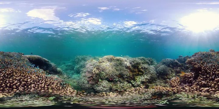 Beautiful underwater landscape with tropical fishes and corals 360VR. Life coral reef. Camiguin, Philippines.