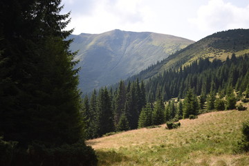 View while climbing Mount Hoverla. View of the mountain, forests and clouds. Ukrainian Carpathians.