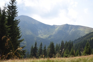 View while climbing Mount Hoverla. View of the mountain, forests and clouds. Ukrainian Carpathians.