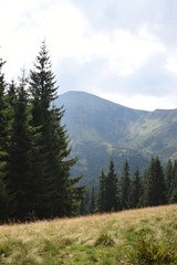 View while climbing Mount Hoverla. View of the mountain, forests and clouds. Ukrainian Carpathians.