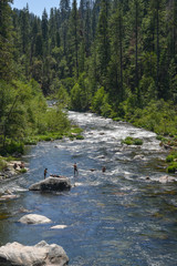 people bathing in a river in a forest