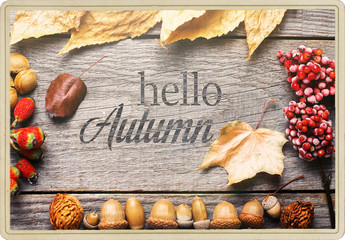 Hello Autumn composition 