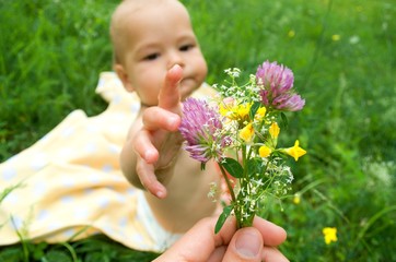 a child holds flowers, a healthy baby, sits on the grass, outdoor play