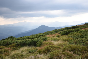 View while climbing Mount Hoverla. View of the mountain, forests and clouds. Ukrainian Carpathians.