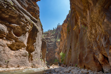 Canyon walls seen from the river bed in Zion National Park in Utah