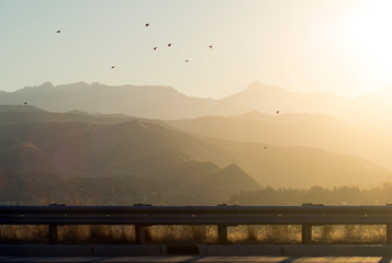 Birds and Hills at Sunset