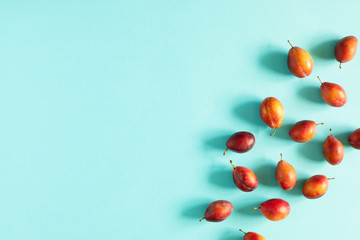Fruit autumn composition. Plum pattern. Ripe juicy red plums on pastel blue background. Fall concept. Autumn background. Flat lay, top view, copy space