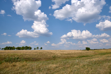 Obraz premium landscape of hills, trees, fields, sky, sun, cloud