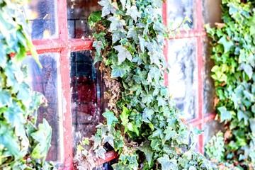 Red window of an industrial warehouse lost in the middle of the foliage by a sunny day in Vancouver