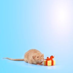 cute decorative rat with cheese gift and red bow on a blue background