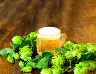 Mug of beer mit fresh hop on wooden background. Oktoberfest beer festival concept