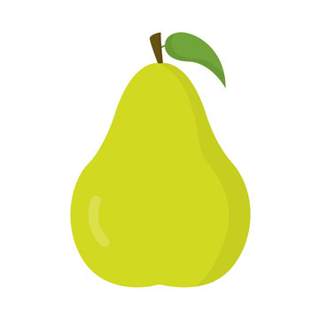 Nashi pear, fruit icon, logo isolated on white background. Flat design style. vector illustration.