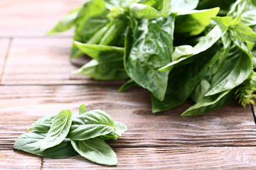 Green basil leafs on brown wooden table